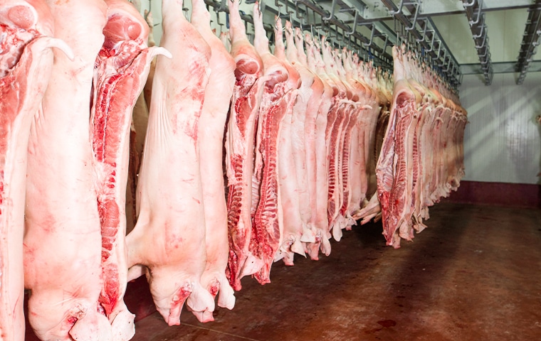 希少で新鮮なホルモン